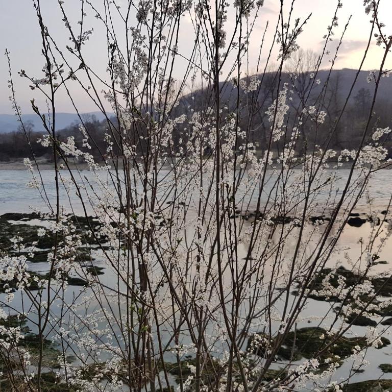 Drina's Heart - Kuća s 5 Spavaćih Soba - 19