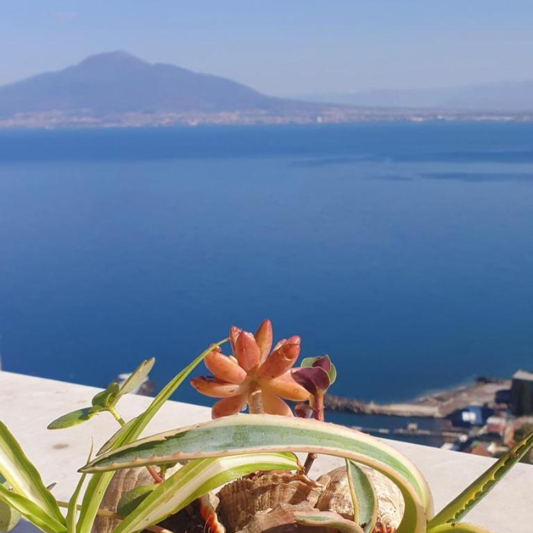 Dimora del Conte Sorrento coast seaview - Appartamento con 2 Camere da Letto e Vista Mare - 9