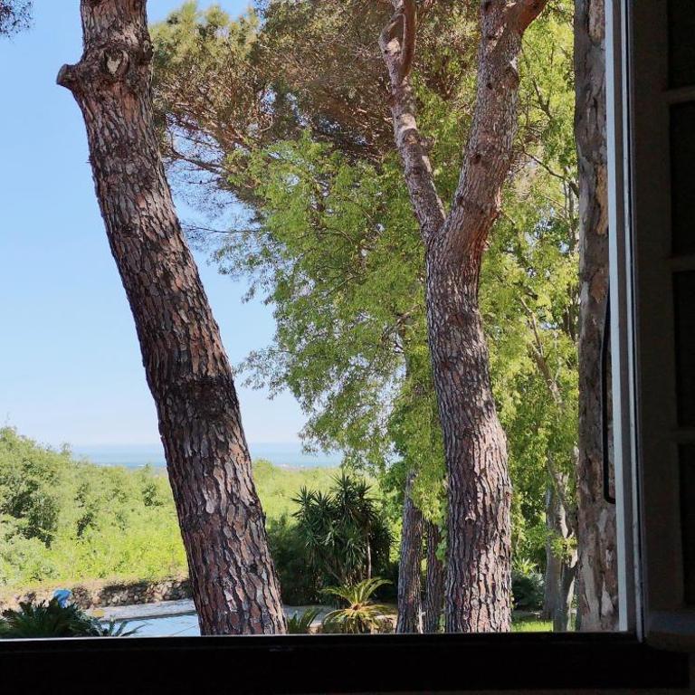 Mas Senyarich - Chambre Double - Vue sur Parc - 5