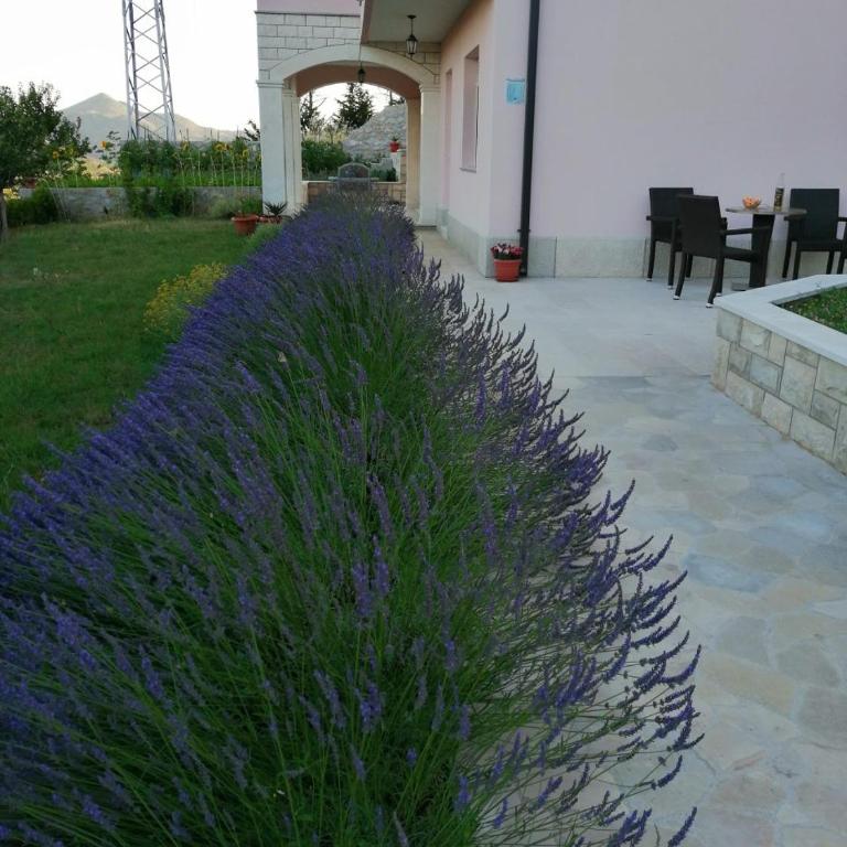 Sun garden apartment - Premium Apartman sa 1 Spavaćom Sobom - 59