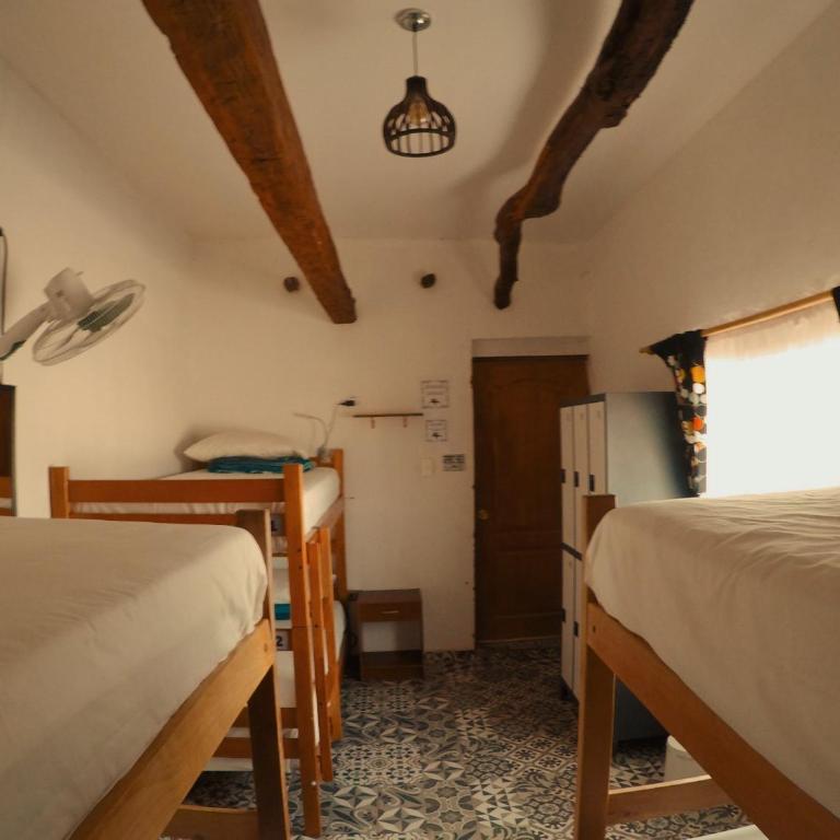 Rey Lagarto Hostel - Cama en habitación compartida mixta de 6 camas - 5