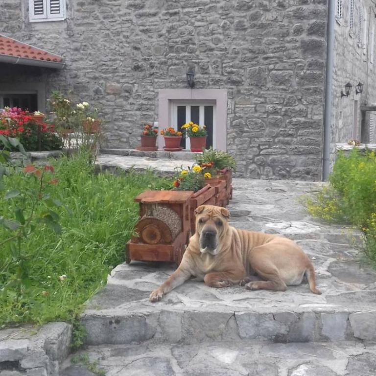 Guest House Maza - Five-Bedroom House - 29