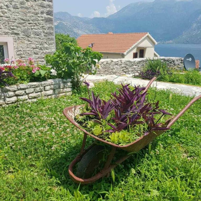 Guest House Maza - Five-Bedroom House - 36