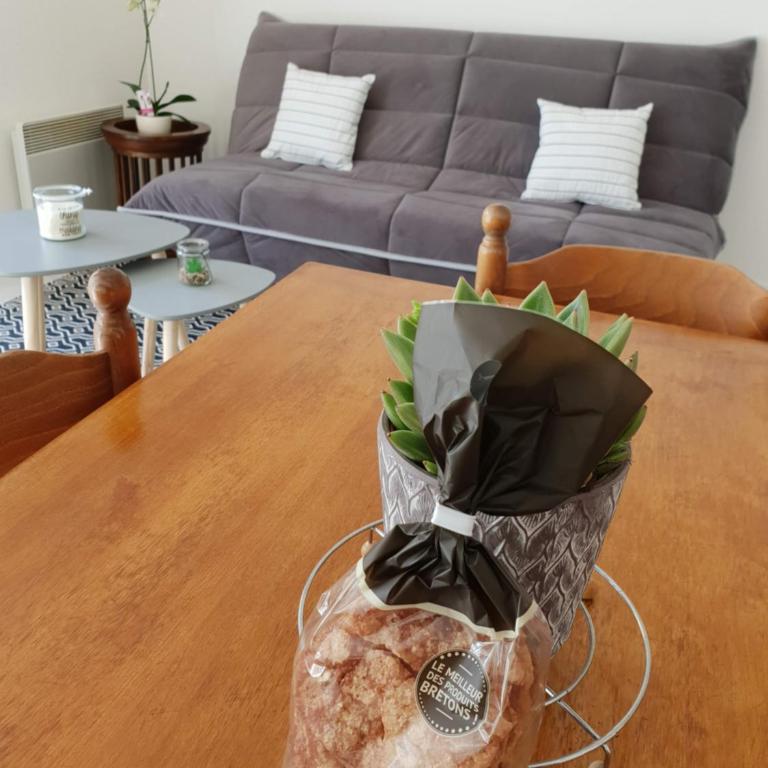 Appartement plage de Trestraou - One-Bedroom Apartment - 2