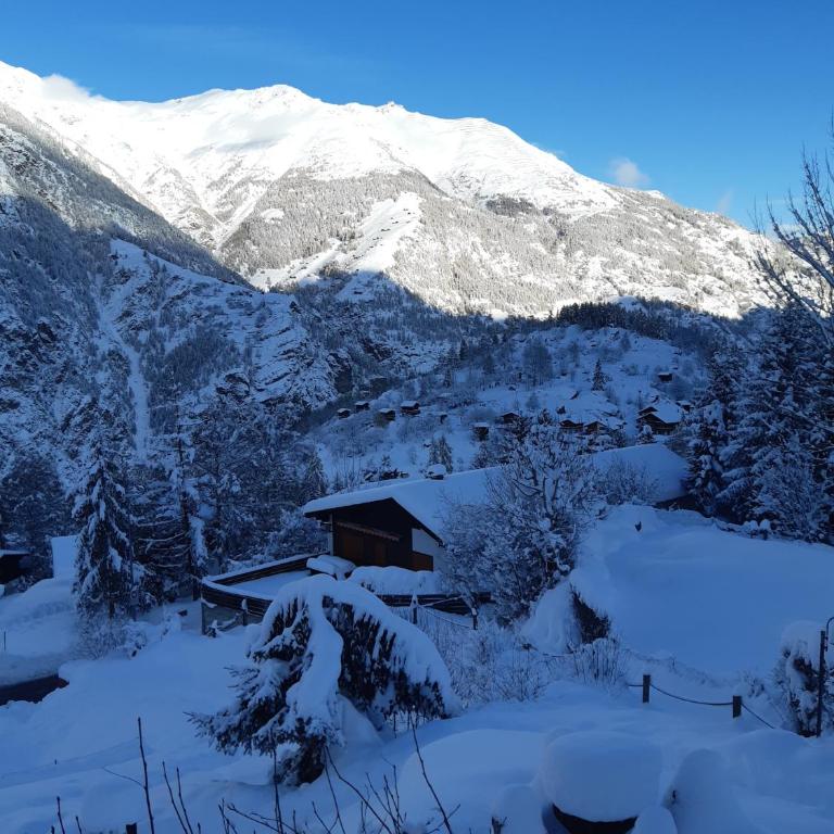 Chalet Sven & Marc Grächen, Niedergrächen Vallis - Haus mit 4 Schlafzimmern - 62