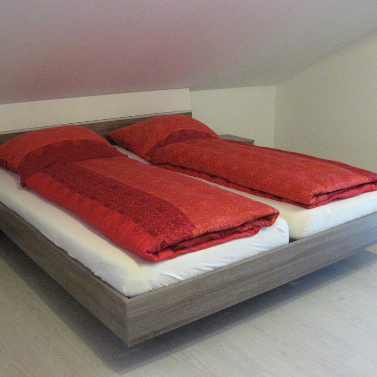 Haus Alpenrose - Apartamento con vistas al castillo - Ático - 5