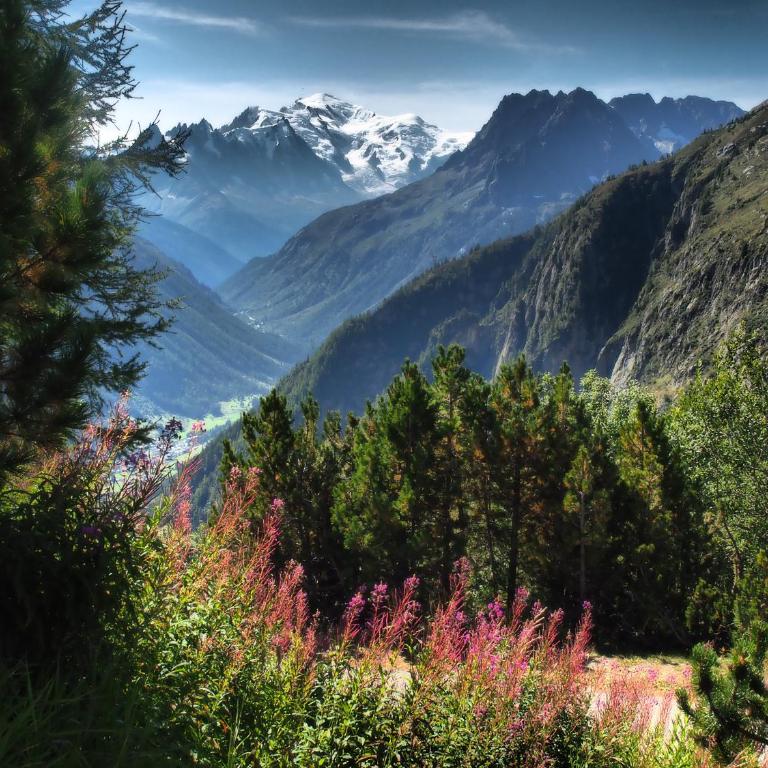 BelleVue centre, wifi, mountain view - Appartamento con Vista Montagna - 39