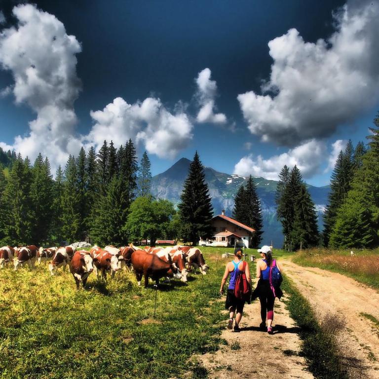 BelleVue centre, wifi, mountain view - Appartamento con Vista Montagna - 37