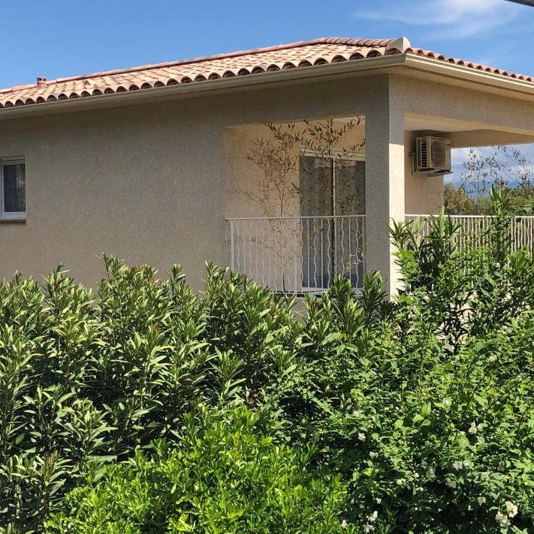 L'Alivu - Maison 1 Chambre - 20