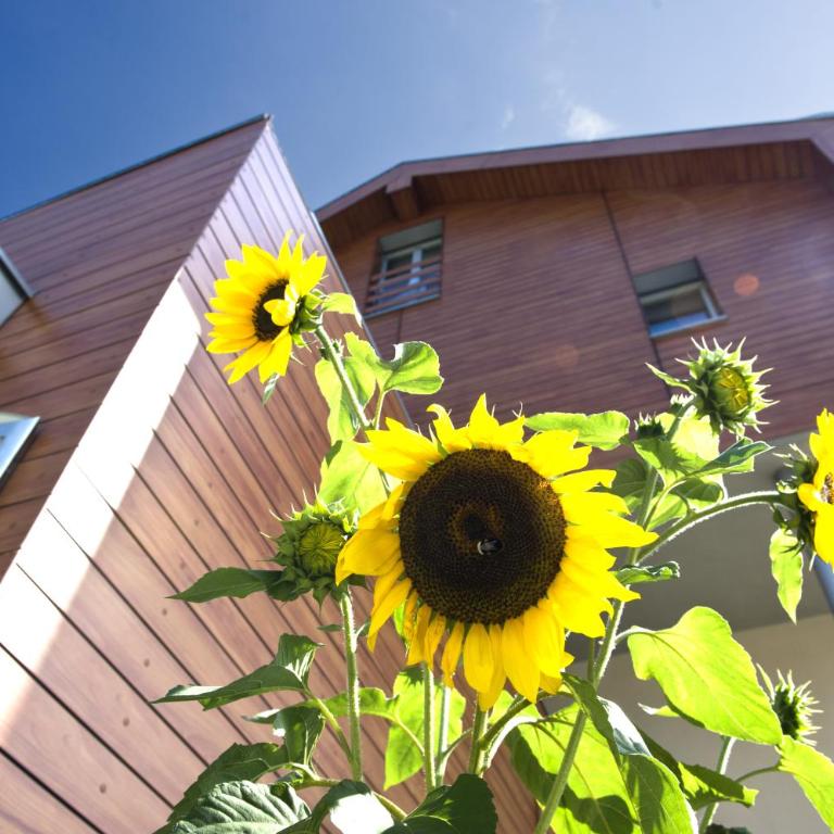 mittendorf klimaresidence - Camera Matrimoniale Superior con Balcone - 1