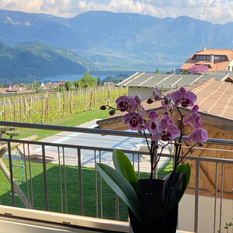 Emily Elisa Traum Ferienwohnung mit atemberaubenden Seeblick - Appartamento con Vista Montagna - 25