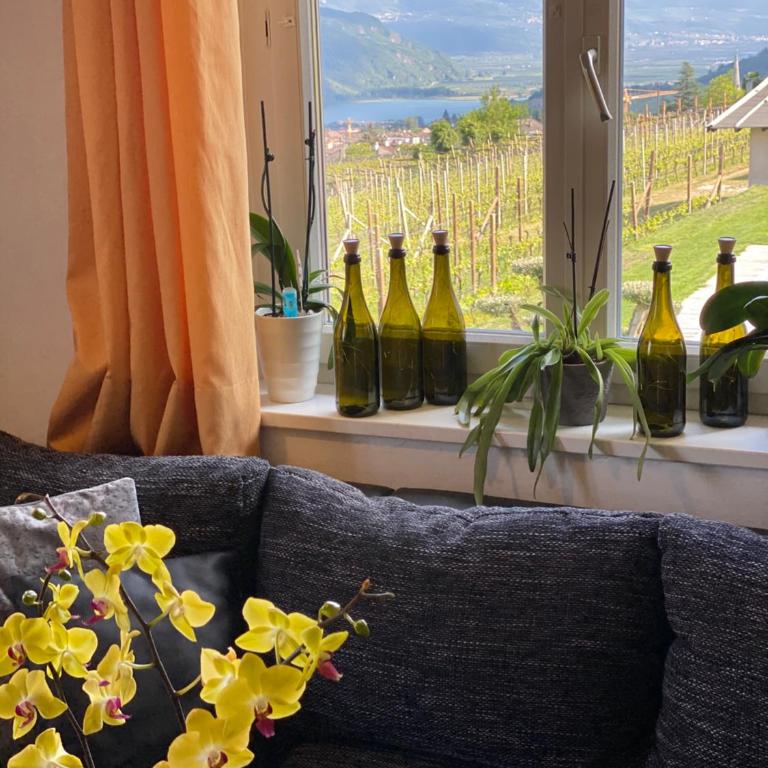 Emily Elisa Traum Ferienwohnung mit atemberaubenden Seeblick - Appartamento con Vista Montagna - 37