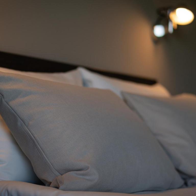 das flax allgäu - Budget Doppelzimmer - 8
