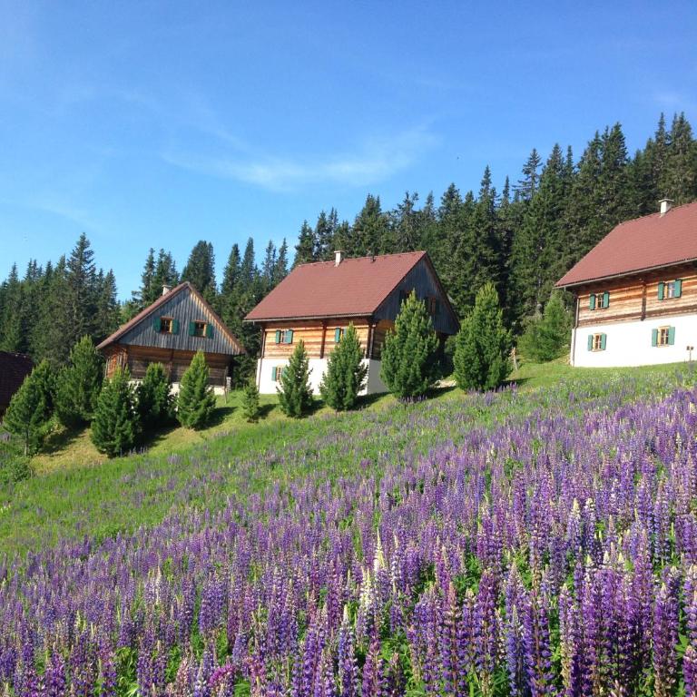 MoselebauerAlm - Chalet - 8