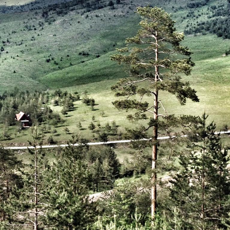 Previja Zlatibor Chalet - Brvnara sa 1 Spavaćom Sobom - 37