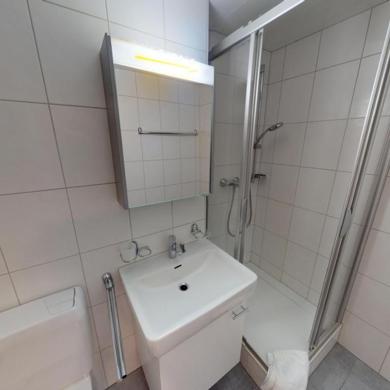 Vieux Valais VB - Apartment - Erdgeschoss - 24