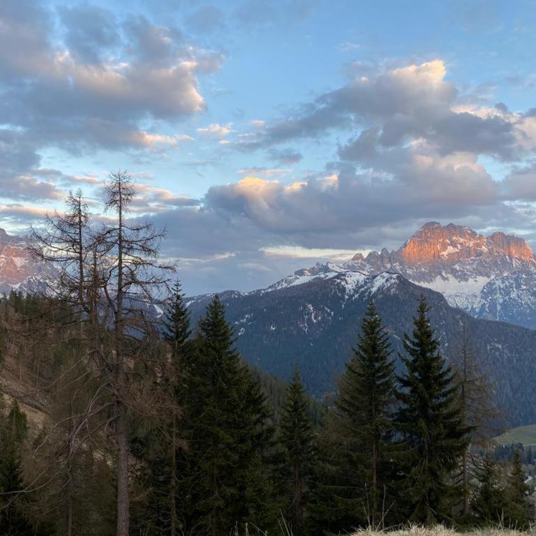 Dolomites Charme Chalet - Appartamento con 1 Camera da Letto - 22
