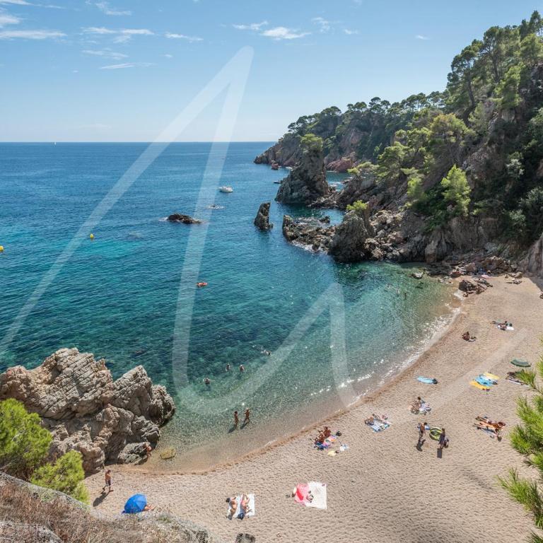 Carabela by SeaMount Rentals - Apartamento con vistas al mar - 28