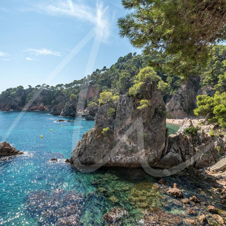 Carabela by SeaMount Rentals - Apartamento con vistas al mar - 29