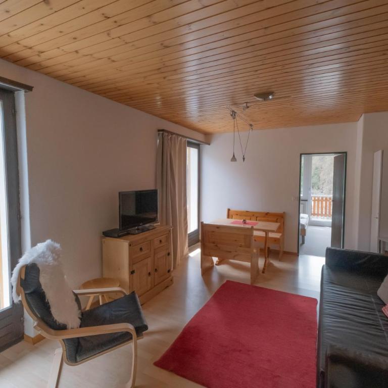 Panorama at Haus Waldheim! Nr 12 - Appartamento con 1 Camera da Letto - 2