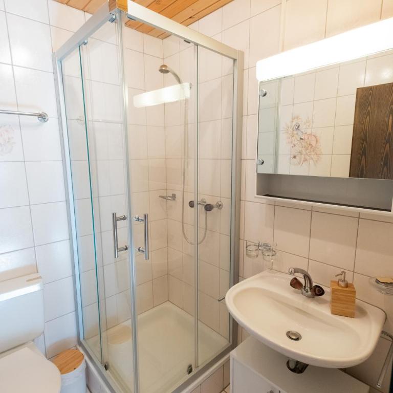 Panorama at Haus Waldheim! Nr 12 - Appartamento con 1 Camera da Letto - 7