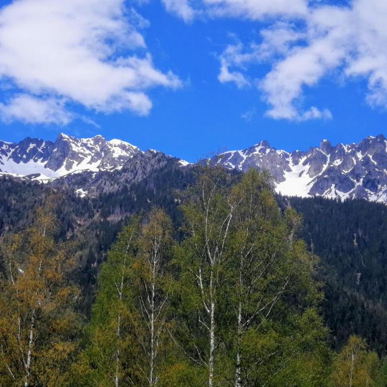 Le Chamoniard Volant - Lit dans Dortoir Mixte de 8 Lits - 1
