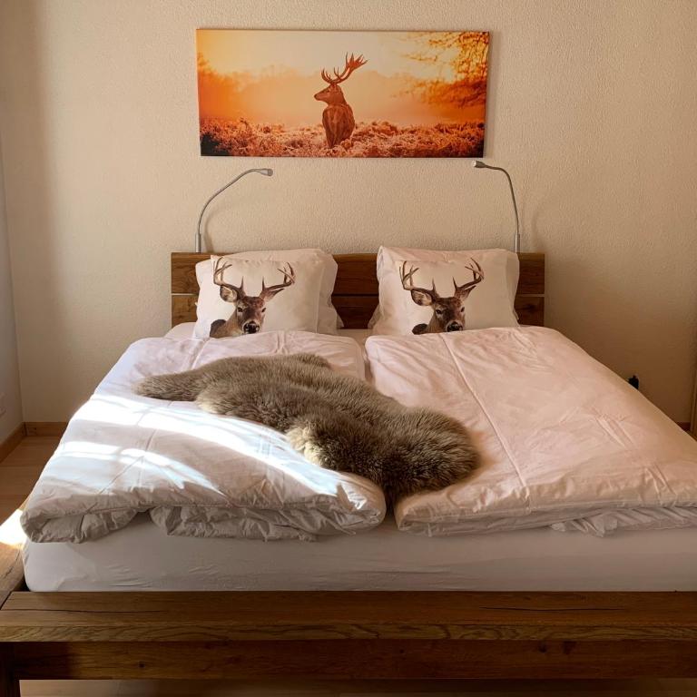 Fluehblüemli - Studio-Apartment - 1