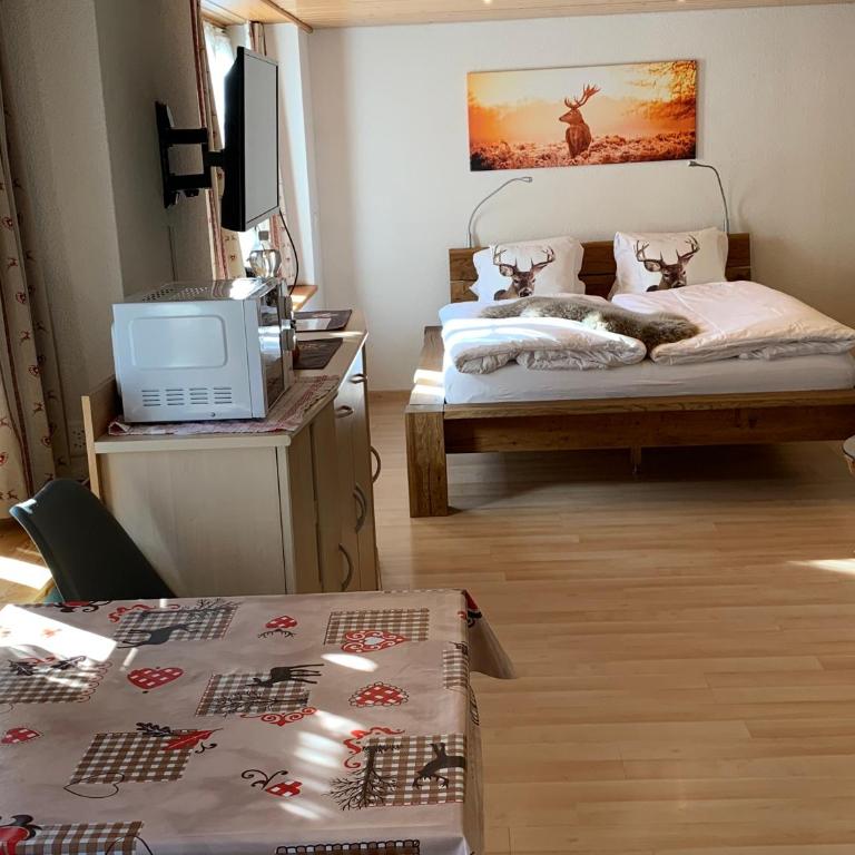 Fluehblüemli - Studio-Apartment - 2
