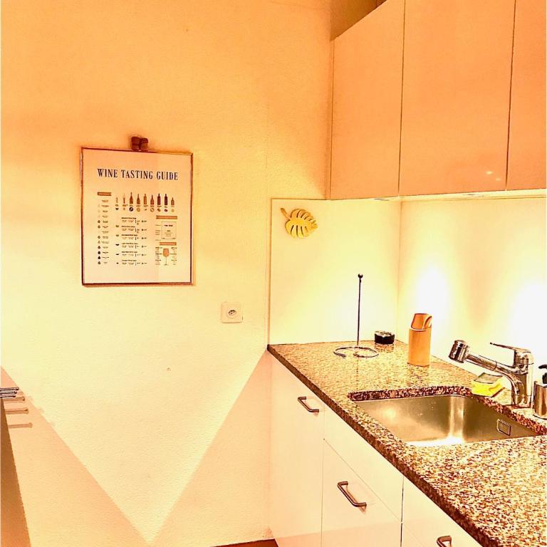 Ferienwohnung mit Garten und Pool in Ascona - Appartamento su 2 Livelli - 28