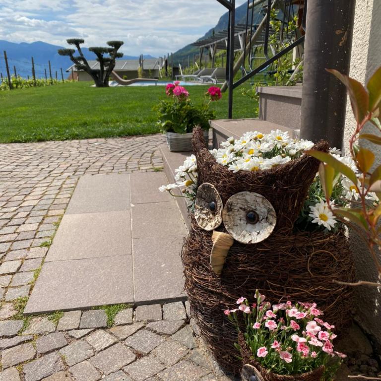 Emily Elisa Traum Ferienwohnung mit atemberaubenden Seeblick - Appartamento con Vista Montagna - 17