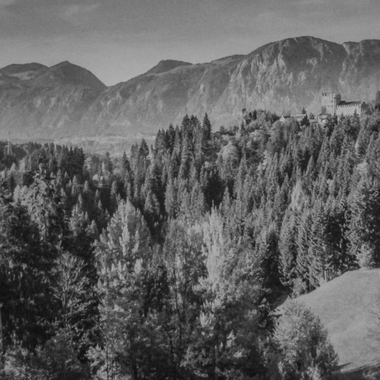 Haus Schrettl Hintergrünholz - Estudio con vistas a las montañas - 4