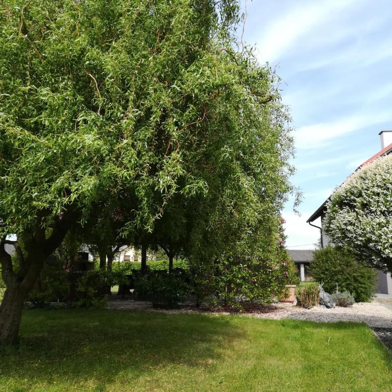 Landhaus List - Ferienhaus - 5