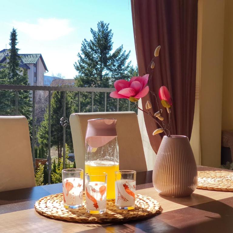 Apartmani MM Zlatibor - Apartman sa 1 Spavaćom Sobom i Pogledom - 7