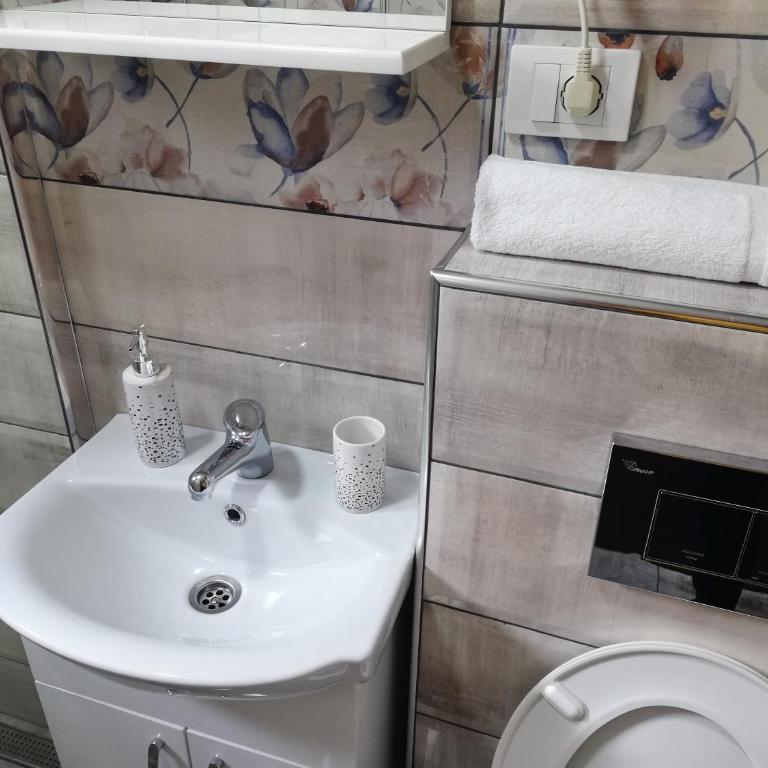 Apartmani Borova Iglica Divčibare - Apartman sa 1 Spavaćom Sobom - 1