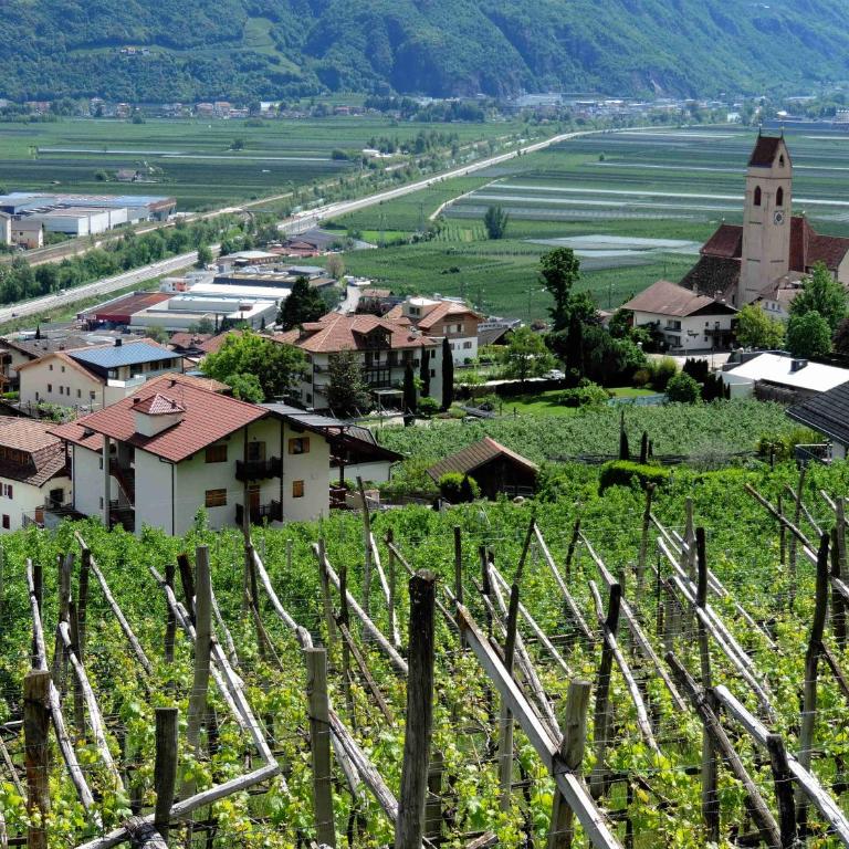 Family Apartment Bacchus - Appartamento con Vista Montagna - 28