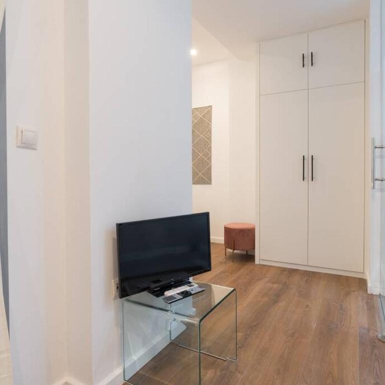 TGH/ Málaga center luxury style - Apartamento de 1 dormitorio - 1