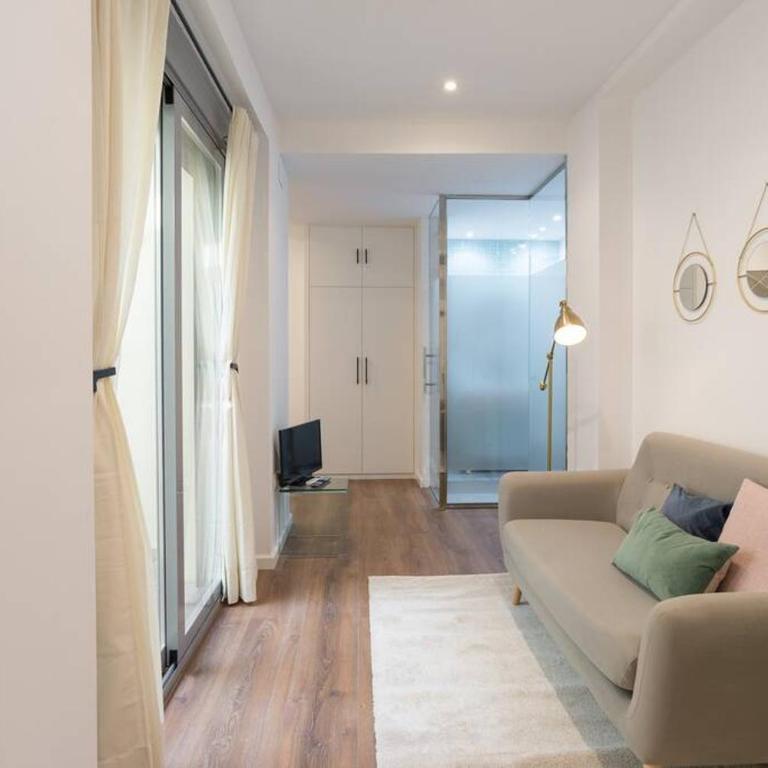 TGH/ Málaga center luxury style - Apartamento de 1 dormitorio - 6