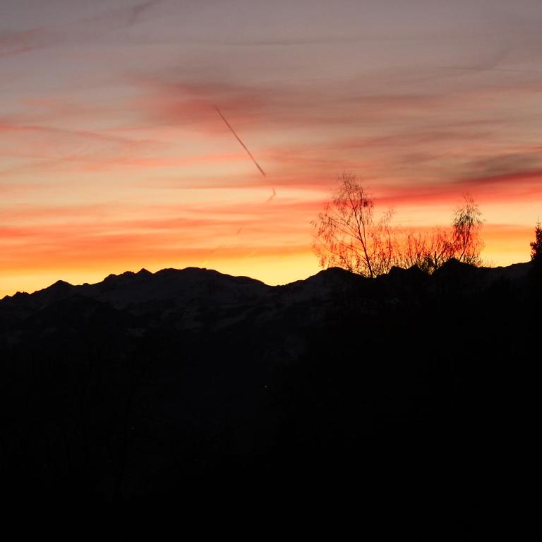 Chalet Le Slalom - Apartment - 37