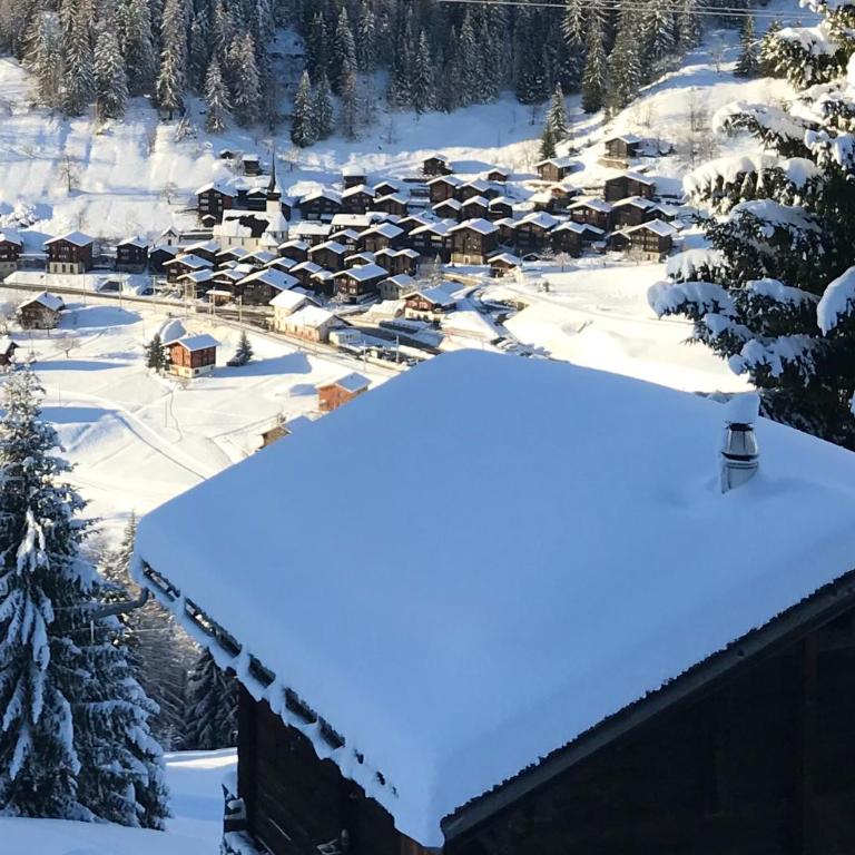 Haus Bortis - Appartamento con 1 Camera da Letto - 17