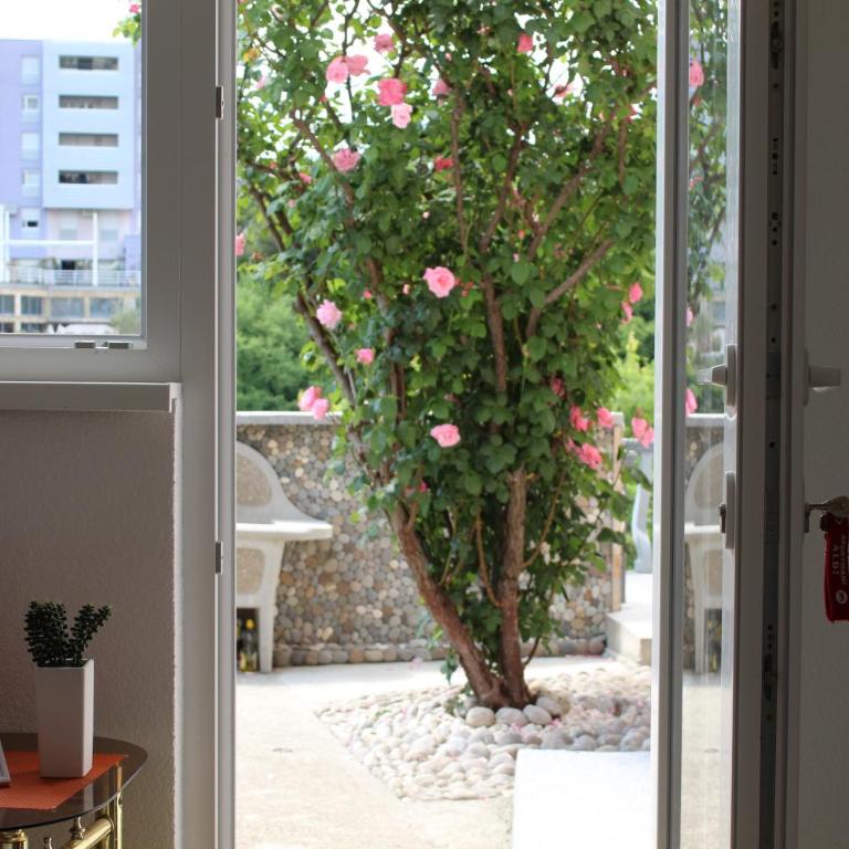 Apartments Aldi - Apartment - Ground Floor - 14