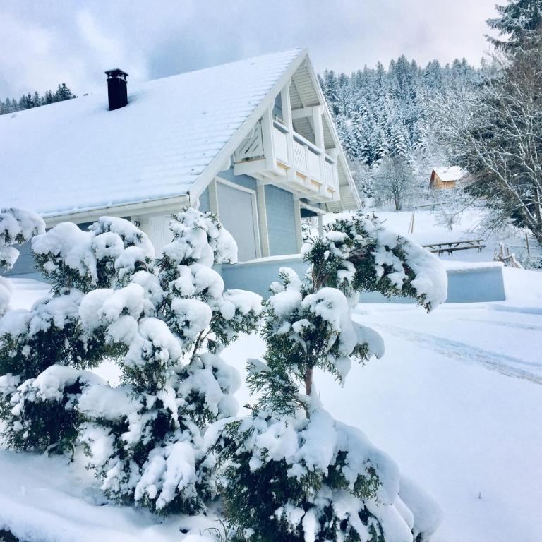 Chalet Le Flocon Bleu - Mauselaine avec vue sur le Lac de Gérardmer - Chalet 3 Chambres - 47