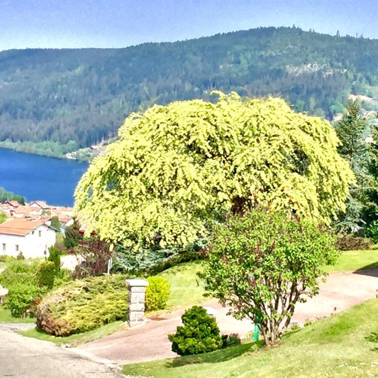 Chalet Le Flocon Bleu - Mauselaine avec vue sur le Lac de Gérardmer - Chalet 3 Chambres - 29
