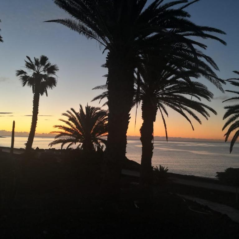 Apartamento Luca 05 en Playa Roca - Apartamento de 1 dormitorio - 35