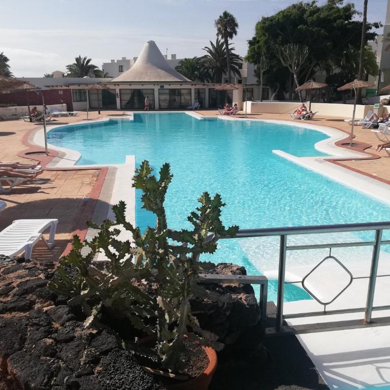 Apartamento Luca 05 en Playa Roca - Apartamento de 1 dormitorio - 19