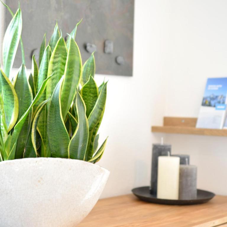 Berg' & Bluamen Appartements Stubai - Apartment mit 2 Schlafzimmern - 8