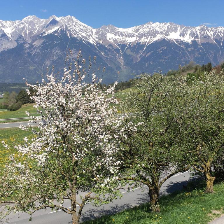 Apartment Wiesenhof - NATUR & WEITBLICK über Innsbruck - Ladestation für Elektroautos - Deluxe Apartment - 20