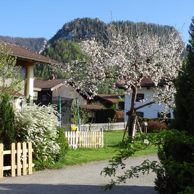 Ferienhäuschen - Apartment mit 1 Schlafzimmer - 18