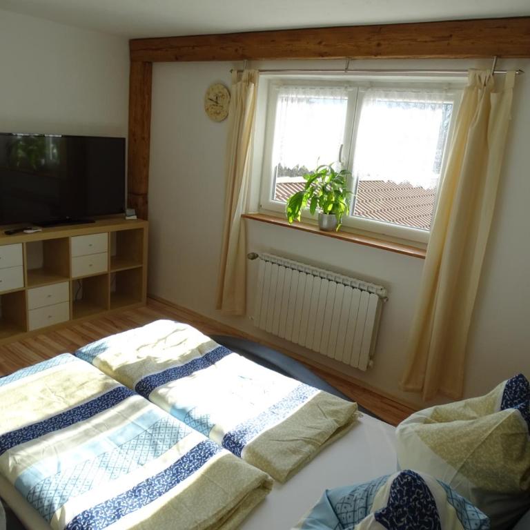 Ferienwohnung Anna - Apartment mit 1 Schlafzimmer - 2