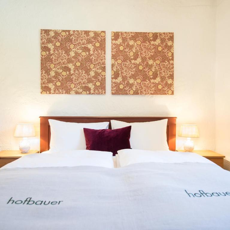Hofbauer - Appartamento con 1 Camera da Letto - 4