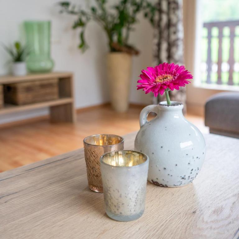 Ski Dome Apartments-Apartment VIVA & Heaven Holiday Chalet - Summercard included - Chalet - Kellnerfeldstraße - 20